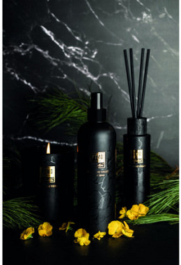 PTMD Elements - Expressive Violet - Interior Spray 500ml