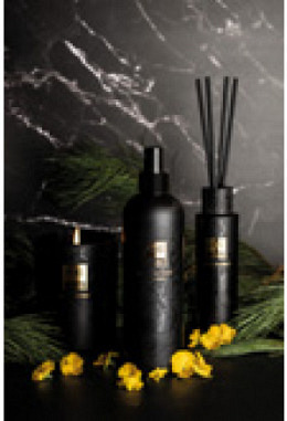 PTMD Elements - Expressive Violet - Fragance Sticks 200ml