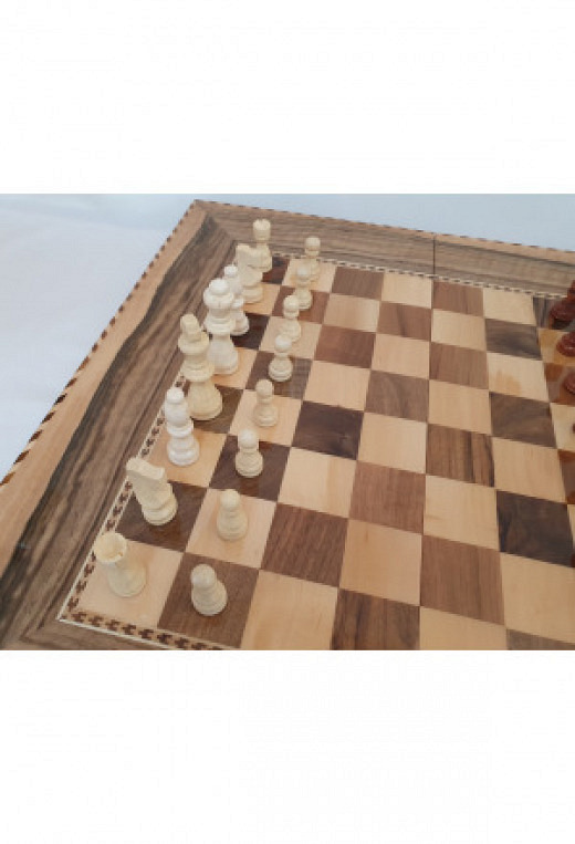 Backgammon & Chess 002