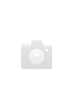 Rietze/DV - TPG - O405GN2 - 222