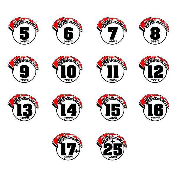 Catégories Stickers SWIXXIS