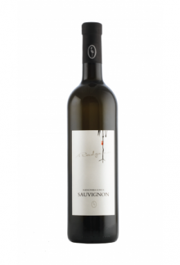 Radgona Sauvignon Blanc 2019 (Slovenien)
