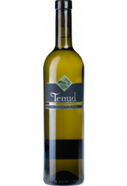 Sauvignon blanc 2020 Tenud, Varen VS