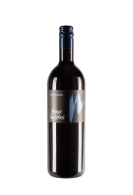 Blauburgunder Gebenstorf 2019, 50cl, W..