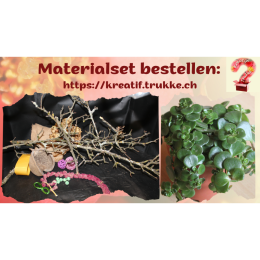 Kreativset: rustikal ausgeschmückte Pflanze