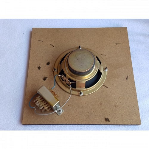 Schallwand mit Lautsprecher 100 v