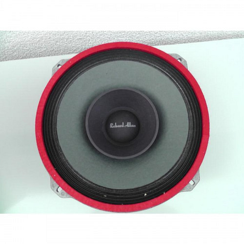 Richard Allan HD 10 Speaker