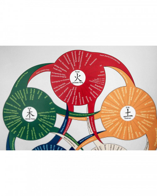 Poster der 5 Wandlungsphasen