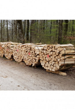 100cm BUCHE frisch (ab Waldstrasse)