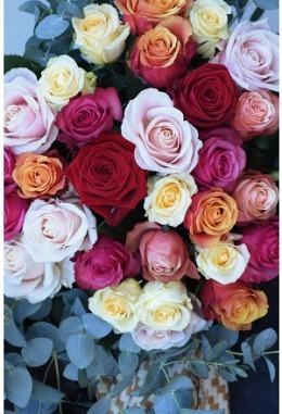 Bunter Rosenstrauss