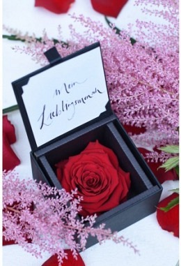 Eine Schachtel voller Liebe