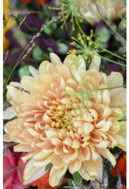Blumen-Abo selber gestalten