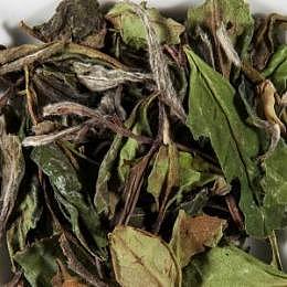 cw.PAI MU TAN - Weisstee China