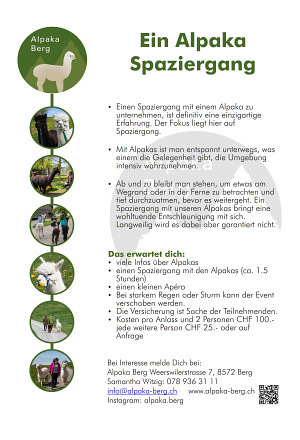 Gutschein für einen Alpaka Spaziergang