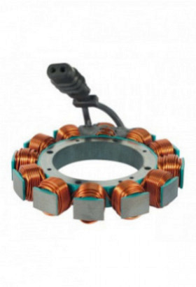 Stator von Cycle Electric Inc. , ´89 -..