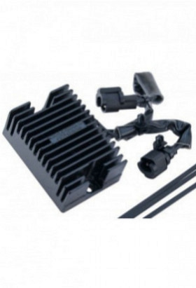 Regler von Cycle Electric Inc. XL ´09 ..