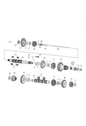 Nadellager Hauptwelle 5.Gang, jims