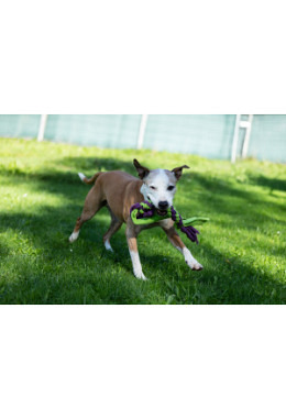 Erziehungskurs BASIC