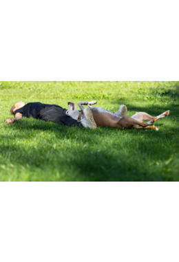 Yoga und Hund Fan ABO