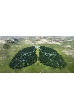 Astanga Yoga 10er Abo