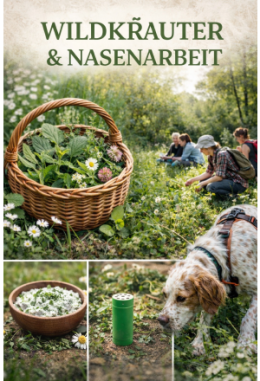 Wildkräuter Kurs - für Mensch & Hund