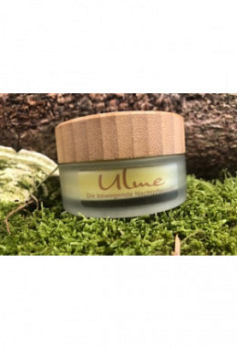 Ulme - Die bewegende Nachtpflegerin 