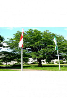 Fahnenmast Stahl leichte Ausführung