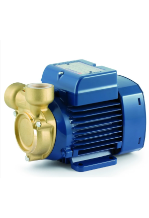 Peripherie Wasserkühlpumpe Pedrollo PQM 81-Bs
