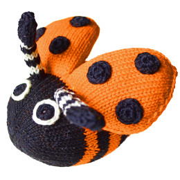 Chäfer ohne Musik orange