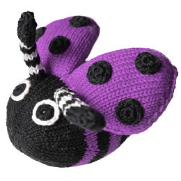 Chäfer ohne Musik phlox