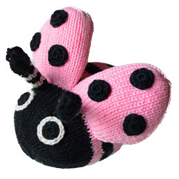 Chäfer ohne Musik orchidee