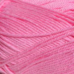 Chäfer ohne Musik orchidee