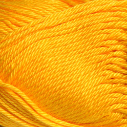 Chäfer ohne Musik sonne