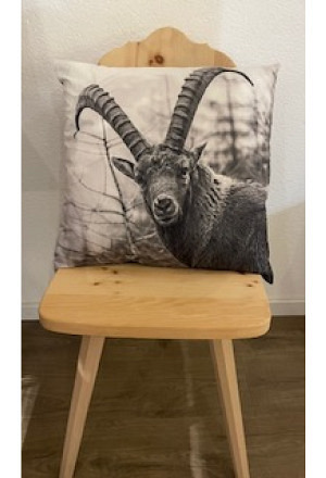 Steinbockkissen