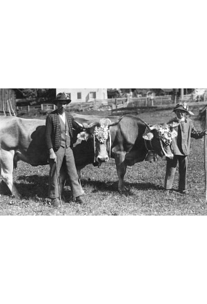 Am Viehmarkt in KLosters