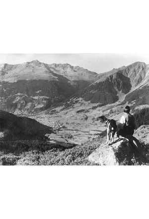 Ziegenbube mit Weitblick