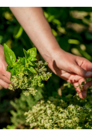 HappyAnita's Bitterkräuter 150 g