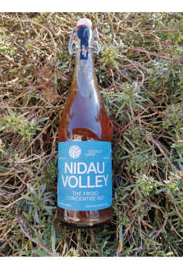 Mega Bon Thé Froid - Sirup