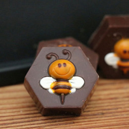 Honig Bienen