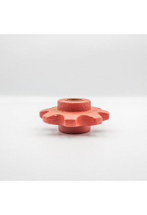 Kettenrad zu Steilförderer mit Glissalager