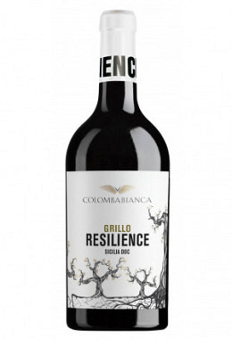 RESILIENCE GRILLO SICILIA DOC
