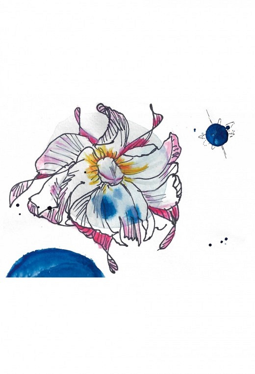 Blüte&Planet Klappkarte