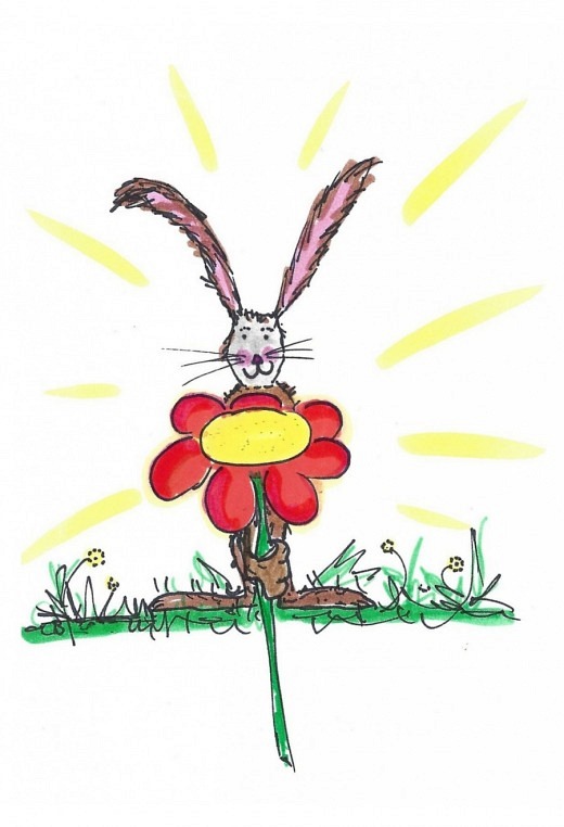 Hase & Blume (Ausverkauft, Nachbestell..