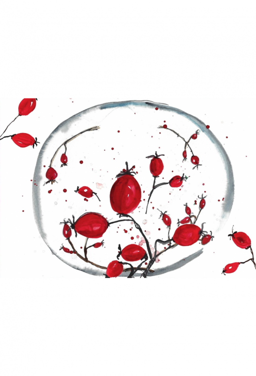 Hagebutten im Kreis Klappkarte