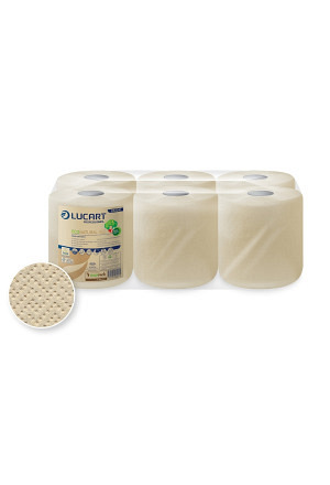 Lucart Papierwischtücher EcoNatural 450