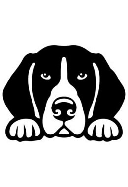 Pension chien à la journée