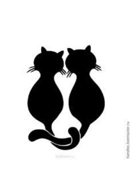 Pension chat en chatterie commune