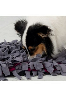 Tapis/jeu de statégie Activity Sniffing Carpet - 50×34cm