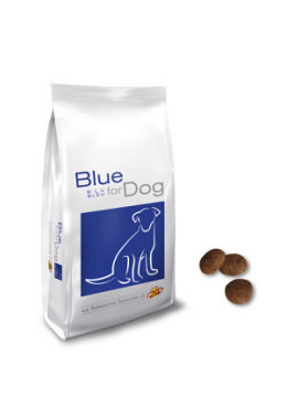 Pet's Planet - Blue for dog 12kg
