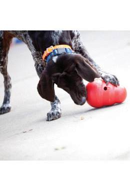 Kong - Aqua L - Orange